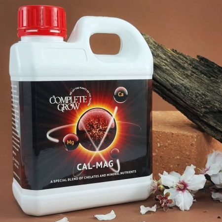 432923840_1441670950108539_2406999218199398457_n