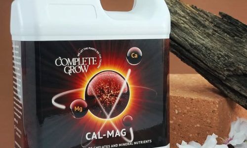 432923840_1441670950108539_2406999218199398457_n