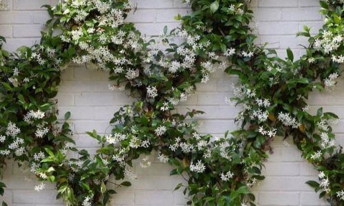 450402783_1922371811557275_5434501997125968557_n (1)