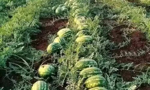 465813488_325621520643723_8713734509598899131_n