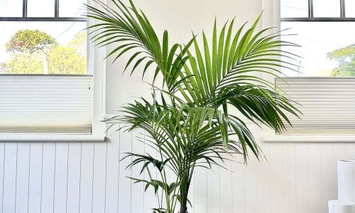 467417493_18054807298925324_9012475601799089309_n (1)