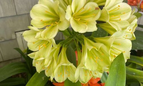 468965843_18313676227165348_9043949637473879594_n (1)