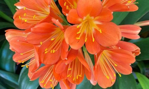 469220434_18313676194165348_9207861549001297115_n (1)