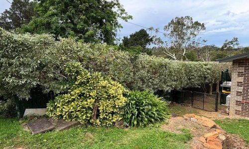 476474755_18062519305921327_98467132239383751_n (1)