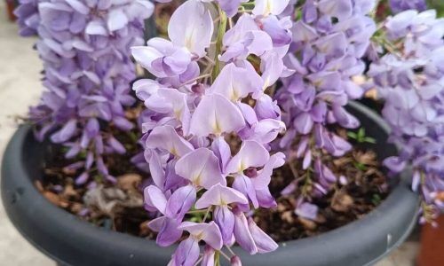 485128890_18014309168701100_7924007537602432838_n