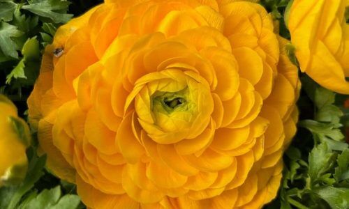 485478567_18398666257100460_5407139232972851532_n (1)