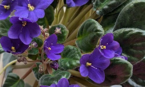 486187919_18465370594068950_6836348075134621871_n (1)