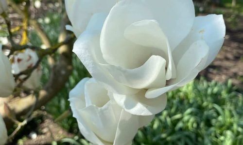 488647499_17952233723945477_5218118302493243940_n (1)