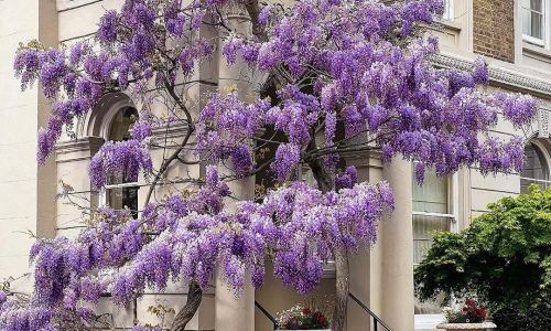 490576791_18063760598506297_6854046542199825242_n (1)