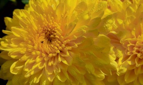 491002727_4178269292401308_9211534501002279274_n (1)