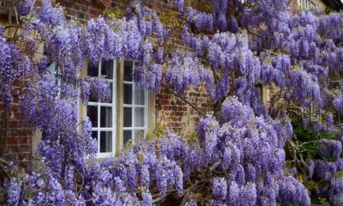 491433669_1188377892752918_8288617179237831777_n