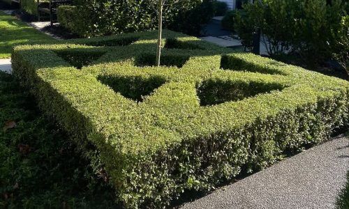 495762601_18468124843068675_6251473490381968300_n (1)