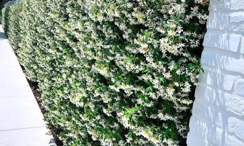 501212876_18510997933004568_8732877656293394290_n (1)