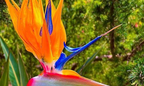 503090625_18349487440157749_4386390077208229513_n (1)