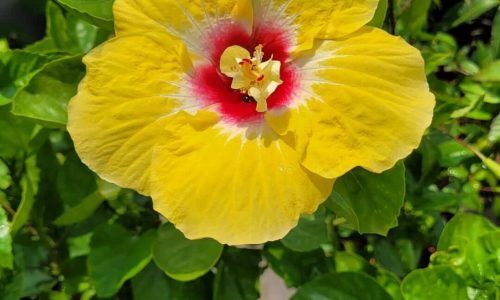 503445178_3565990080376635_1530332957730453051_n