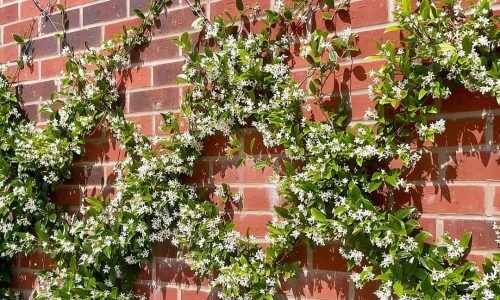 503819469_18175479781326768_6814853365773313541_n (1)