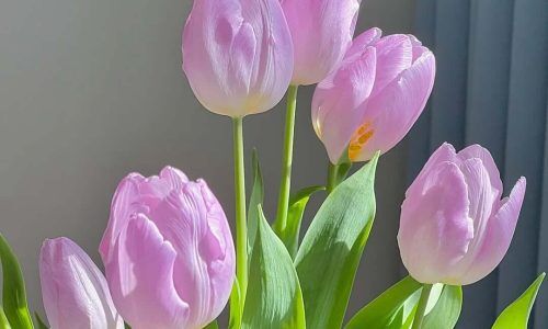 516600754_18511060666014669_7891739616402084016_n (1)