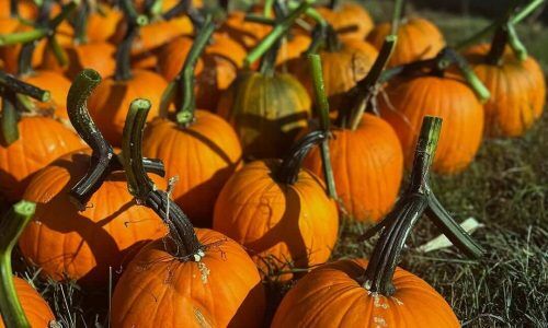 528875004_18108687634533215_6131141578762533508_n (1)