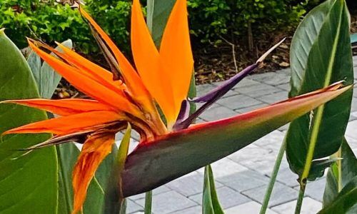 549292688_18151121821392758_6736209905231378505_n (1)