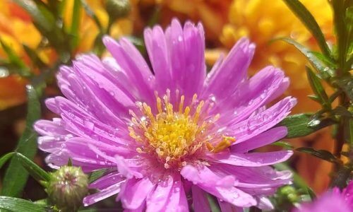 551971176_17993390450832385_4353887916377514620_n (1)