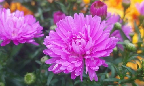 552868308_17993390480832385_1294417085151420264_n (1)