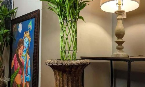 403328904_885168096500415_4844547761965658253_n