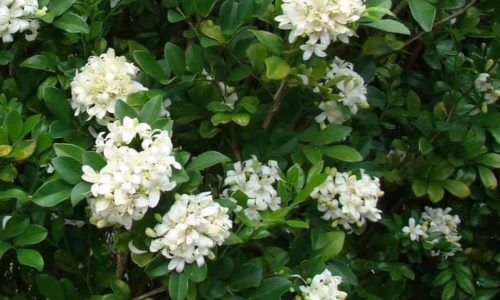 501271204_1198975921437711_667366415313202164_n