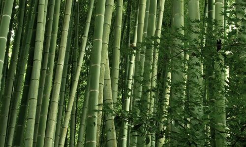 538001791_1450294079373467_6207625339443431375_n