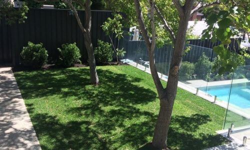 127969493_880362836042562_352637584761911531_n (1)