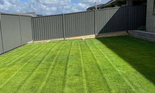 148297268_422621688992702_5110591972031677560_n (1)