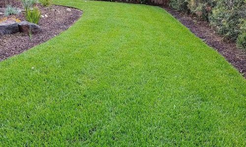 164156083_845007706370853_247911258240743712_n (1)