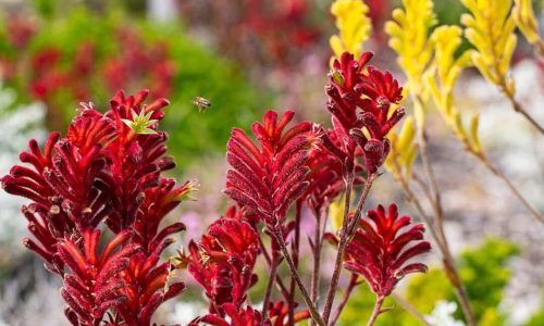 480270242_18357232360120245_4894903450071082077_n (1)