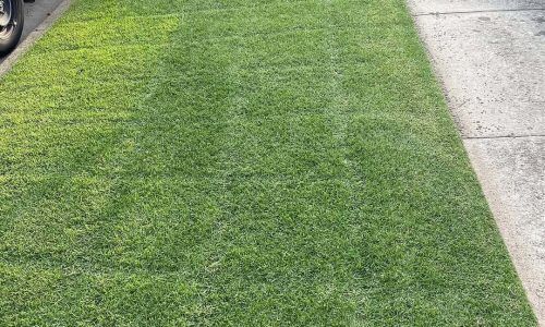 497593631_18509785840049960_367186612363297386_n (1)