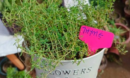 538838450_18054379511627805_2126712594816126133_n