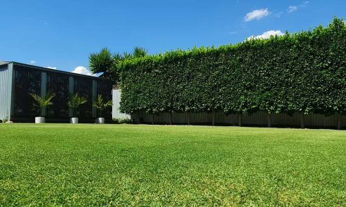 271522526_460955765614160_529396344147790133_n