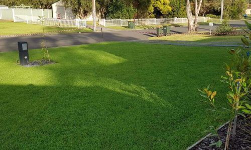 272141574_329122585781497_8817416192325093557_n