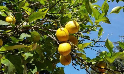 280748683_749843689722203_7724863250967651661_n