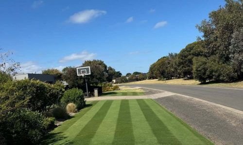 425561195_406828841881602_1354336258491095766_n (1)