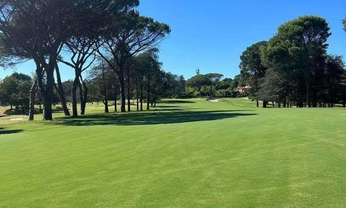 426809034_18295180516158476_1188696256639026918_n (1)