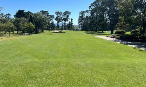 427510989_18295180465158476_1681994333051182083_n