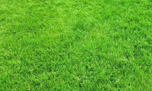 464753444_18035236211248146_461761032653206903_n (1)