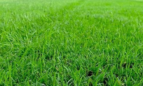 482325847_1064710485700669_7357504049149303408_n (1)