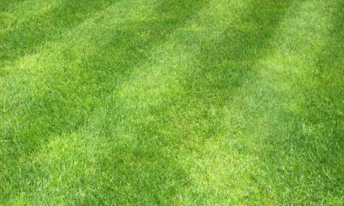 491832039_1197736402359750_3856708676512947866_n (1)