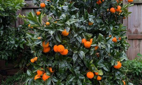 517281700_18258689266303320_6235497568218820085_n (1)