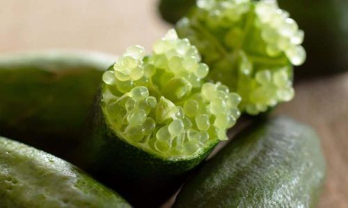 560645437_18525924286012648_6879511692339500934_n (1)