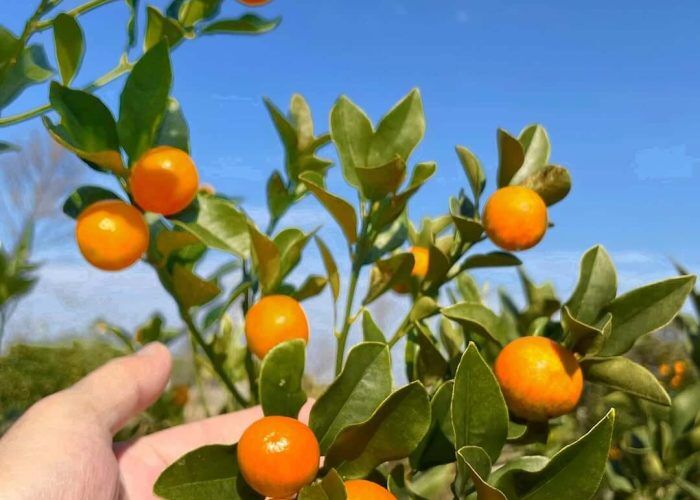 588508629_18436190089096714_1238613340666241742_n (1)