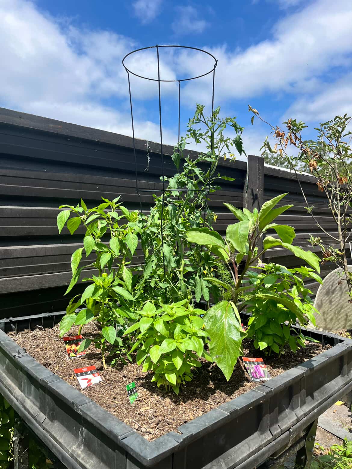 After 7 days using CompleteGrow NPK 20-20-20