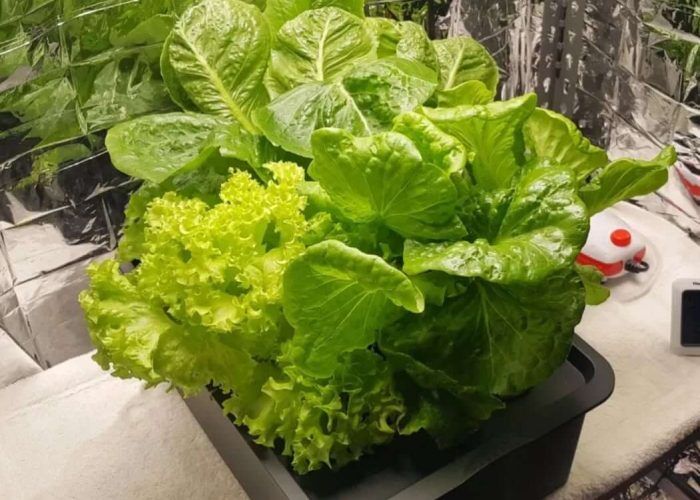 652749483_18076706714130594_3563227595373543799_n