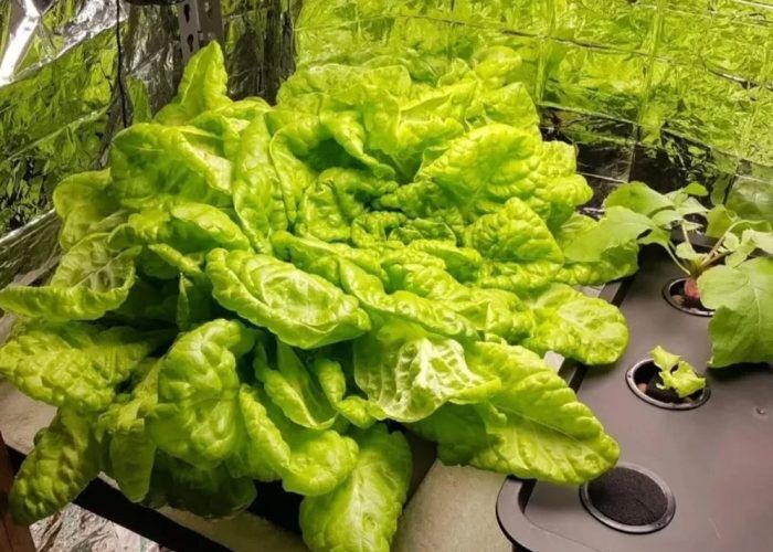 653385941_18065277947320139_507668476568325042_n