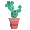 Architectural succulent icon